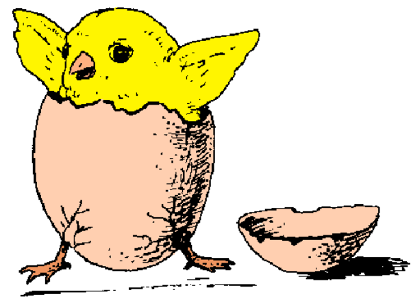 The image shows a cartoon of three Pokémon characters: Pikachu on top with its ears perked up; Charmander in the middle lying down next to an object that resembles a pokeball, and Bulbasaur at bottom sitting upright beside another similar item.