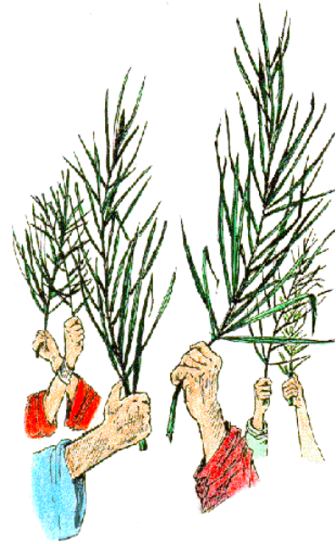 The image shows a Christmas tree with decorations on it against a plain background.