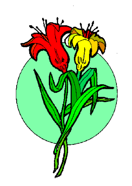 The image shows a single red rose with green leaves against an indistinct background that appears to be divided into two sections by color: one is yellowish-green on top half of the photo, while the other section has no distinct pattern and could represent any number of colors or shades due to its small size.