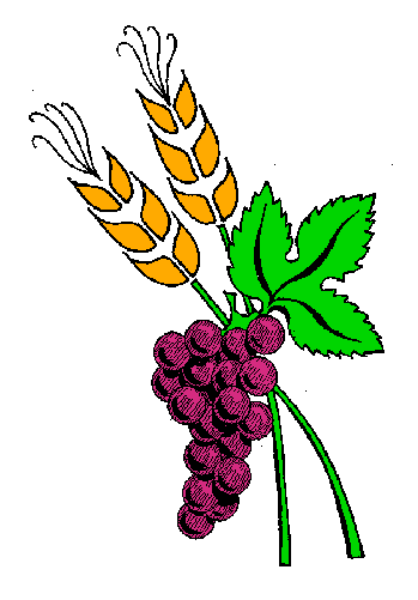 The image shows a colorful graphic of flowers with leaves at their base on top left corner against white background.