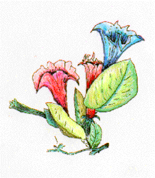The image shows a colorful cartoon of three flowers with different shapes: two resemble sunflowers while the third is more like an iris flower; all have green leaves attached to stems at their base, and there's no background detail provided in this clip-art style illustration.