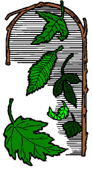 The image shows a closeup of an object with green leaves on it against a white background; there is no text present in this clip-art image.