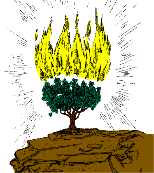 The image shows a cartoon of an evergreen tree with three tiers growing out from its base on top of what appears to be soil in front of it.