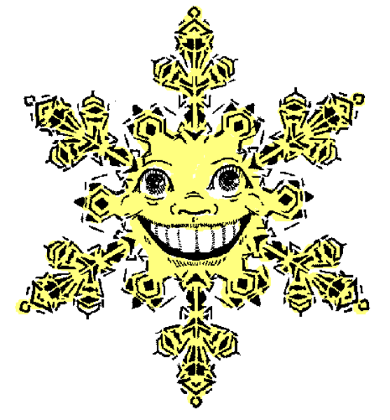 The image shows a stylized emblem with an eight-pointed star at its center surrounded by rays of light against a white background on one side; there is also text that reads "THIS IS A LOGO" in black font, and it appears to be part of the logo for something related to snow or winter.