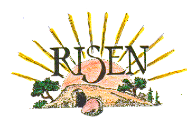 The logo features a stylized sunburst with rays emanating from it at various angles; within this design is an image of what appears to be a person's head in profile facing left, wearing glasses and smiling slightly towards us. Below the central figure, there are two lines that seem like they could represent waves or perhaps some sort of abstract element. The background color behind these elements is white with no additional details visible due to its simplicity.