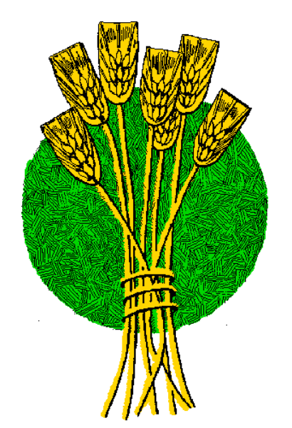 The flag of a country with an emblem on it featuring two crossed swords above three stars.
