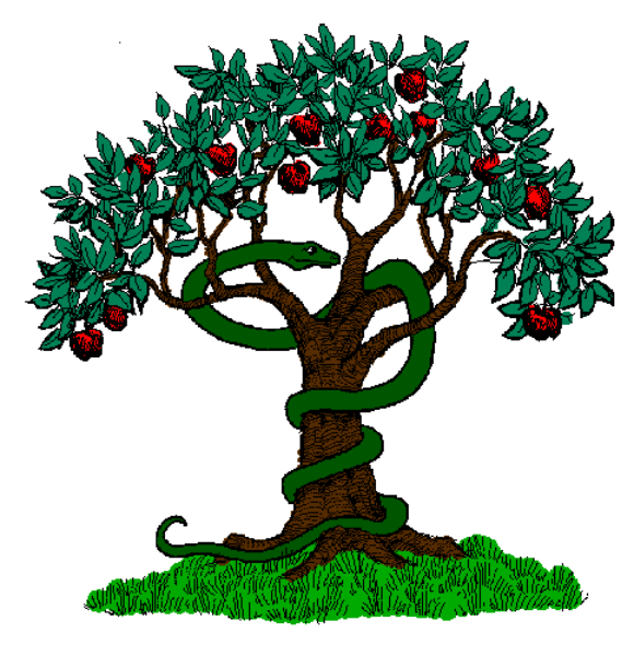 The image shows two different illustrations of a tree with apples on it against white backgrounds; there is no text present in either picture.