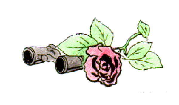 The image shows a single flower with green leaves on it against a white background.