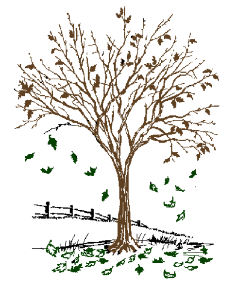 The image shows a tree with leaves on it against an outdoor background that includes grass and what appears to be snow-covered ground in wintertime conditions.